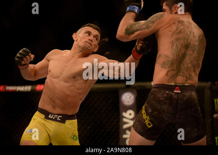 SÃO PAULO, SP - 16.11.2019 : l'UFC Fight Night BLACHOWICZ X JACARÉ - Renan Barao visages Douglas D ? Silva lors de l'UFC Fight Night - Blachowicz vs Jacaré à Ginásio do Ibirapuera à São Paulo, SP. (Photo : Reinaldo Reginato/Fotoarena) Banque D'Images