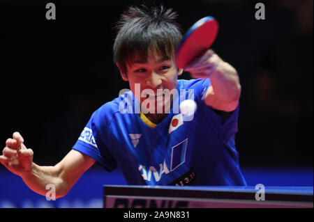 Linz, Autriche. 16 Nov, 2019. Koki Niwa (JPN), le 16 novembre 2019 - Tennis de Table : 2019 Austrian Open masculin au quart TipsArena Linz de Linz, Autriche. Credit : Itaru Chiba/AFLO/Alamy Live News Banque D'Images