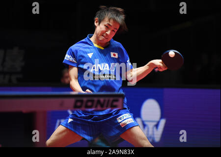 Linz, Autriche. 16 Nov, 2019. Koki Niwa (JPN), le 16 novembre 2019 - Tennis de Table : 2019 Austrian Open masculin au quart TipsArena Linz de Linz, Autriche. Credit : Itaru Chiba/AFLO/Alamy Live News Banque D'Images