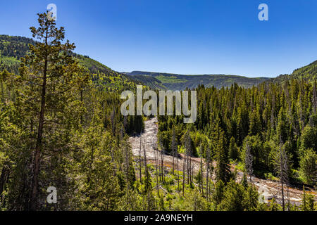 Une vue de la Provo River dans le Uinta-Wasatch-Cache National Forest dans l'Utah. Banque D'Images