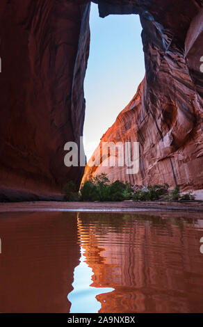 Cathédrale d'or dans la région de Neon Canyon, Utah, le Parc National de Escalante Banque D'Images