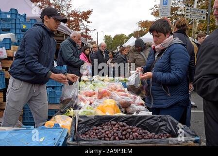 Les acheteurs de l'examen et de la sélection des fruits et légumes au marché du Midi, open air dimanche marché en dehors de la gare Bruxelles Midi Banque D'Images