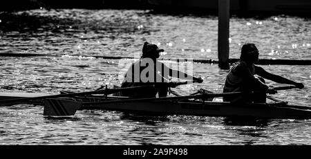 Henley. Berks, Royaume-Uni. Double Scull femmes Silhouette, la chaleur à Henley 2017 Régate des femmes". De l'aviron sur Henley, portée. Tamise. Samedi 17/06/2017 [crédit obligatoire Peter SPURRIER/Intersport Images] Banque D'Images