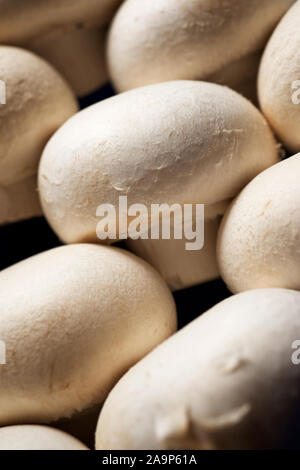 Close-up de plusieurs rangées de champignons blancs. Banque D'Images