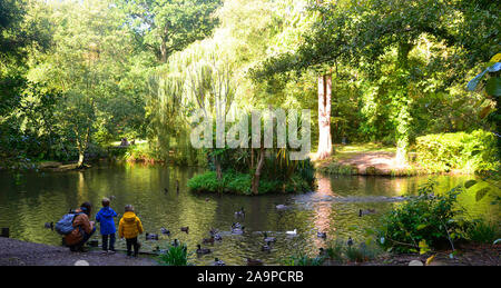 Holly Hill Woodland Park, Fareham, Southampton, Hampshire, Royaume-Uni Banque D'Images