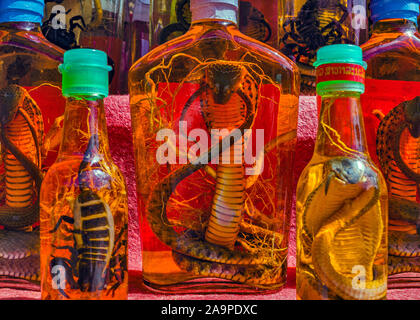 Serpent en vente au Laos. La médecine traditionnelle unique Banque D'Images