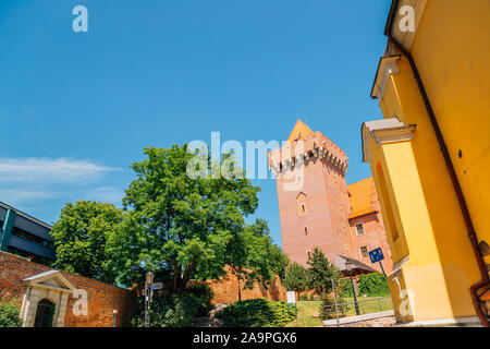 Château Royal, Poznan, Pologne Banque D'Images