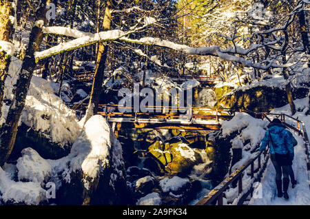 Myra Falls, Myrafalle en Basse Autriche 05.01.2015 en hiver sur une journée ensoleillée. Marcher le long de ruisseau de montagne avec cascades en forêt. Voyage célèbre Banque D'Images