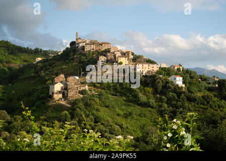 Sorbo-Ocagnano village perché dans le département de la Haute-Corse et de la Corse - Corse paysage villageois. Banque D'Images