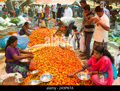 Femme vendant des tomates au marché du dimanche de Tiruchirappalli, Tamil Nadu, Inde Banque D'Images