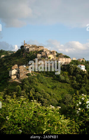 Sorbo-Ocagnano village perché dans le département de la Haute-Corse et de la Corse - Corse paysage villageois. Banque D'Images