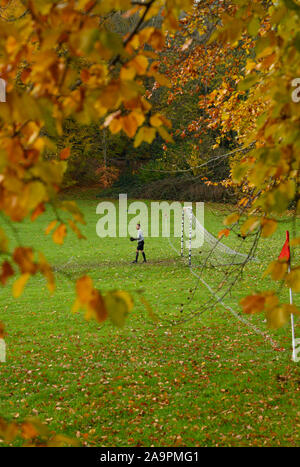 Brighton UK 17 novembre 2019 - Le gardien de Castle Club watches jouer comme ils prennent sur Broadwater dans un match de football amateur local sur fond de couleurs d'automne sur un jour froid et sec à Patcham à la périphérie de Brighton. D'autres parties de la Grande-Bretagne connaît encore humide avec plus de pluie prévue pour les prochains jours . Crédit : Simon Dack / Alamy Live News Banque D'Images