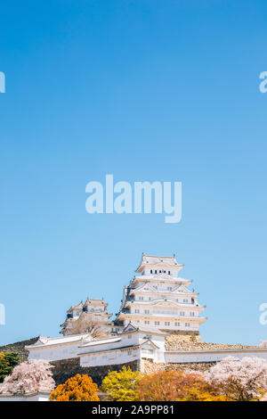 Château de Himeji avec fleurs de cerisier au printemps au Japon Banque D'Images