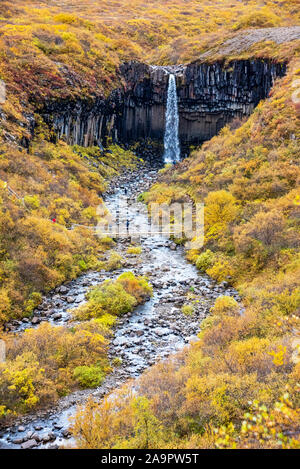 Svartifoss, la cascade noire, célèbre destination touristique populaire en Islande Skaftafel parc national. Automne, automne Banque D'Images