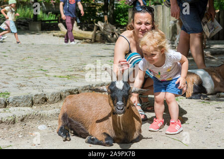 Mère et fille à la découverte du zoo peting avec beaucoup de chèvres. Banque D'Images