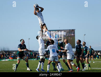 L'Sportsground, Galway, Connacht, en Irlande. 17 novembre, 2019. European Rugby Champions Cup, Connacht contre Montpellier ; Kelian Galletier attrape un line out pour Montpellier - usage éditorial : Action Crédit Plus Sport/Alamy Live News Banque D'Images