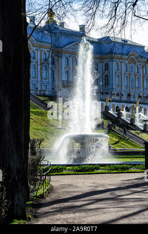 PETERHOF, RUSSIE - 05 mai 2015 : paysage de Peterhof. Paysage naturel ensoleillé de printemps avec fontaines et bâtiments Banque D'Images