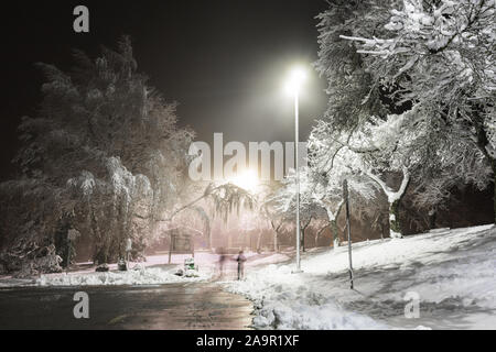 Winter Wonderland. Les arbres couverts de neige, de nuit les lumières briller à travers. Photo idéal qui apporte jusqu'à l'esprit de vacances. Banque D'Images