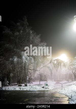 Winter Wonderland. Les arbres couverts de neige, de nuit les lumières briller à travers. Photo idéal qui apporte jusqu'à l'esprit de vacances. Banque D'Images