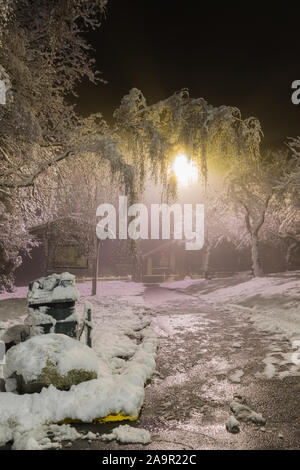 Winter Wonderland. Les arbres couverts de neige, de nuit les lumières briller à travers. Photo idéal qui apporte jusqu'à l'esprit de vacances. Banque D'Images