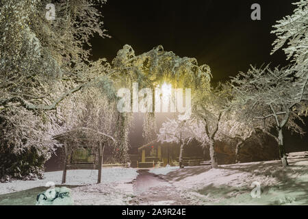 Winter Wonderland. Les arbres couverts de neige, de nuit les lumières briller à travers. Photo idéal qui apporte jusqu'à l'esprit de vacances. Banque D'Images