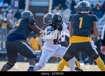 16 novembre 2019 - Greensboro, NC, États-Unis : Caroline du quarterback Jalen Fowler (1) reçoit des pressions de Bethune Cookman défensive fin Marques Ford (48) au cours de NCAA Football action de jeu entre Bethune Cookman Wildcats et North Carolina A&T Aggies. NC A&T défait BCU partie arrière 44-17 à BB&T Stadium à Greensboro, N.C. Romeo T Guzman/CSM Banque D'Images