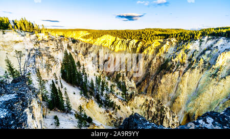 Coucher de soleil sur le Grand Canyon de la Yellowstone River dans le Parc National de Yellowstone dans le Wyoming, États-Unis d'Amérique Banque D'Images