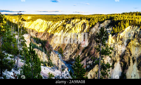 Coucher de soleil sur le Grand Canyon de la Yellowstone River dans le Parc National de Yellowstone dans le Wyoming, États-Unis d'Amérique Banque D'Images