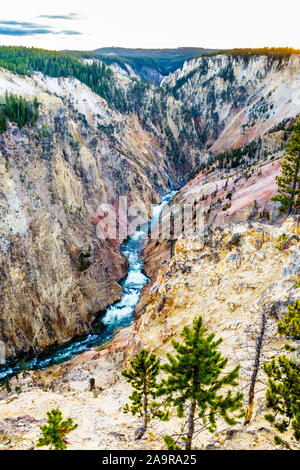 Coucher de soleil sur le Grand Canyon de la Yellowstone River dans le Parc National de Yellowstone dans le Wyoming, États-Unis d'Amérique Banque D'Images