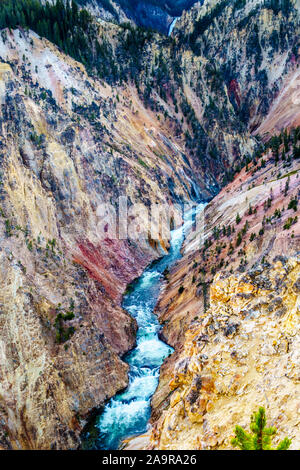 Coucher de soleil sur le Grand Canyon de la Yellowstone River dans le Parc National de Yellowstone dans le Wyoming, États-Unis d'Amérique Banque D'Images