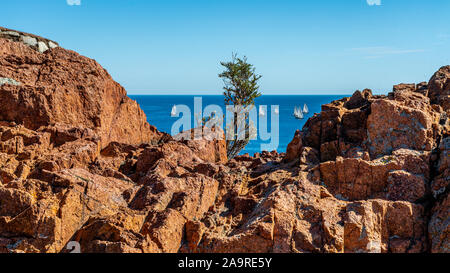Cap roux sentier de randonnée dans les roches rouges de l'Estérel avec la mer bleue de la Méditerranée Banque D'Images