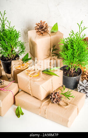 Collection de cadeaux de Noël avec des décorations rustiques. Pas de plastique, végétalien biologique concept zéro déchet, style de vie. Banque D'Images