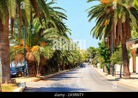 Avenue de dattiers le long d'une route sur la côte du golfe de Corinthe en Grèce. Banque D'Images