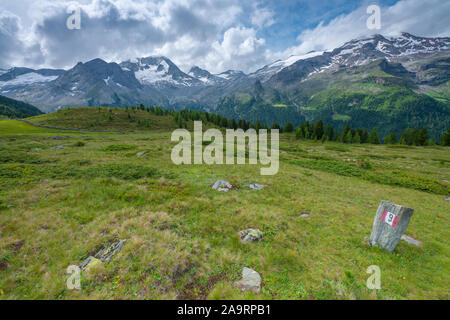 Prairies alpines et de forêts de montagnes couronnées de neige ci-dessous. Marqueur de piste, poteau de signalisation pour le sentier de randonnée d'été dans les Alpes. Banque D'Images