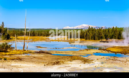 Grésillement dans le bassin du lac de porcelaine de Norris Geyser Basin dans le Parc National de Yellowstone dans le Wyoming, États-Unis d'Amérique Banque D'Images