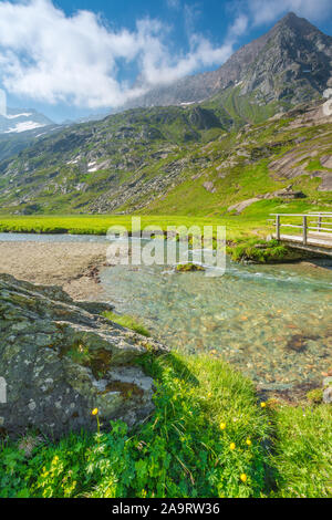 Alpine luxuriante vallée avec ruisseau glaciaire découlant de la fonte des glaces et de la neige sur les montagnes environnantes. Pont de bois sur le ruisseau de montagne. Banque D'Images