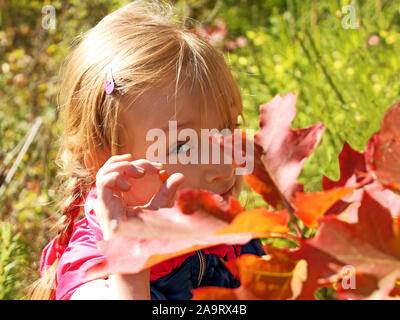 Belle petite fille se reposant dans autumn park et détient dans les doigts une semence de maïs, sur l'avant-plan - feuilles de chêne rouge en plein soleil Banque D'Images