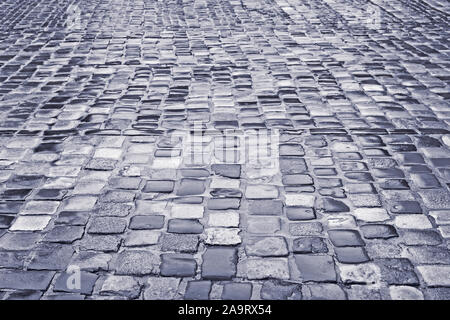 Route pavée avec pavés mouillés par temps de pluie au centre-ville de Lviv, Ukraine, photo édité en noir et gris Banque D'Images