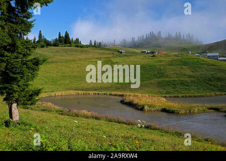 Situé dans la province de Giresun, Gölyanı Plateau a un lac offrant une vue authentique avec ses maisons en bois. Banque D'Images