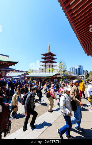 Tokyo, Asakusa shrine et temple Sensoji. Les touristes du remplissage du cour devant et sur les mesures de la salle principale avec la pagode derrière. Ciel bleu. Banque D'Images