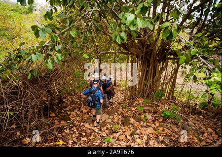 Marche à travers le village abandonné Thak, rendu célèbre par Jim Corbett dans le livre maneaters, du Kumaon Hills Kumaon, Uttarakhand, Inde Banque D'Images