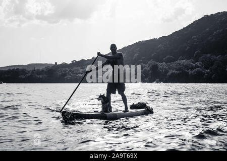 Austin, Texas, États-Unis. 28 Juin, 2019. Stand Up Paddleboarding sur le lac Austin. Un homme prend un stand up paddleboard sur le lac Austin et voyages de Pennybac Banque D'Images