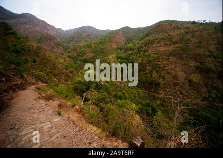 Une forêt dense à l'Nandhour Kumaon Hills, vallée, Uttarakhand, Inde Banque D'Images