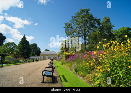 UK,South Yorkshire,Sheffield,Botanical Gardens,arbres,arbustes et fleurs dans le côté de la Frontières herbacées Broadwalk menant à la maison de verre Banque D'Images