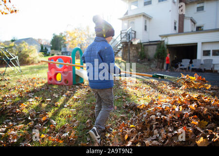 Vue arrière d'un jeune garçon le ratissage des feuilles au cours de l'automne dans l'arrière-cour Banque D'Images