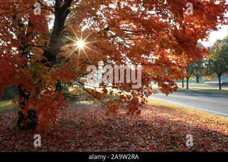 New York, USA. 21 Oct, 2019. Photo prise le 21 octobre 2019 présente le décor de l'automne à Windsor, Connecticut, aux États-Unis. Crédit : Yang Quanguo/Xinhua/Alamy Live News Banque D'Images