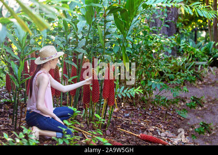 Jolie jeune femme au chapeau de paille tendant au rouge fleurs et plantes vertes alors qu'elle se trouve dans un jardin Banque D'Images