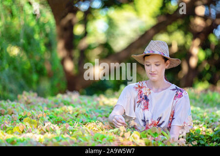 Belle jeune femme portant chapeau de paille en couverture d'un jardin avec lumière pommelé et en fin d'après-midi de l'ombre Banque D'Images