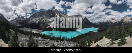 Panorama du lac Peyto et paysage spectaculaire le long de la promenade Icefields, Canada Banque D'Images