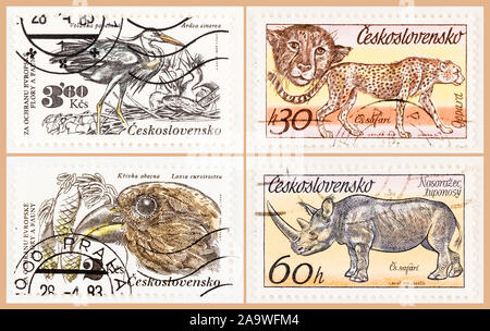 SEATTLE WASHINGTON - Le 5 octobre 2019 : Collage de la Tchécoslovaquie timbre-poste, avec des animaux sauvages. Banque D'Images